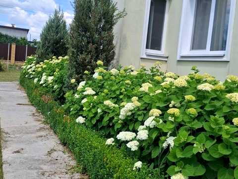 дом по адресу Малинова