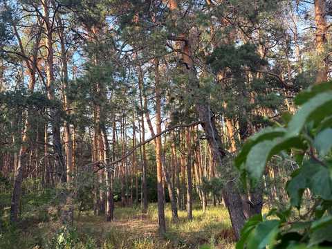 будинок за адресою Дачна, 93