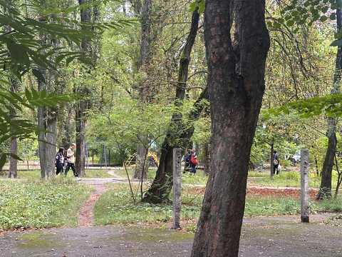 квартира за адресою Академіка Шалімова вул. (Героїв Севастополя), 19