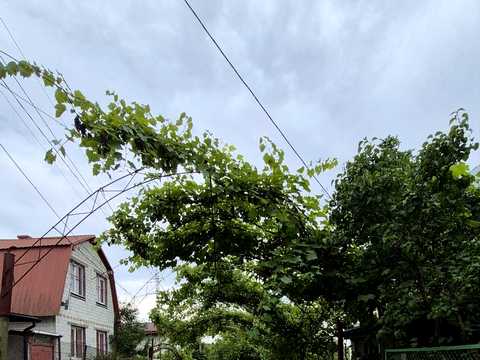 ділянка за адресою Садівнича вул.
