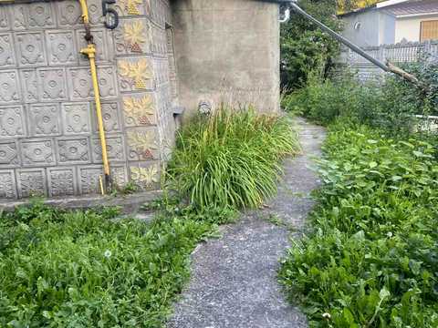 дом по адресу Дмитра Іваха ул. (Жванецька), 5