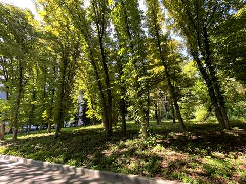 квартира за адресою Чумацька вул., 2