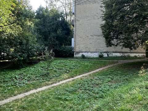 ділянка за адресою Чернівці, Рози Ауслендер вул., 37