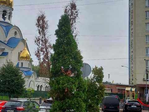 квартира за адресою Академіка Глушкова просп., 9-Д