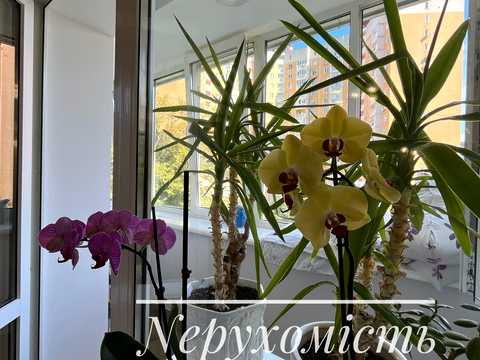 квартира за адресою Слов'янська вул., 28