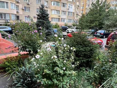 квартира по адресу Зоопарковая ул., 6