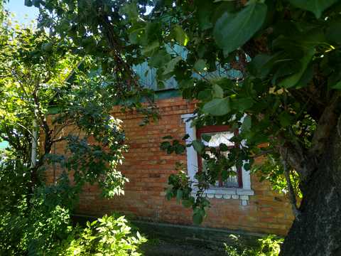 дом по адресу пгт. Любашевка, Відродження, 1