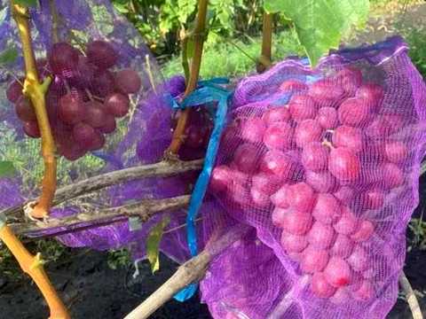 будинок за адресою Харків, Індустріальний просп. (Фрунзе)