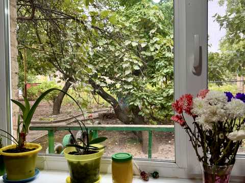 дом по адресу Красный пер.