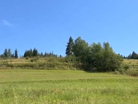 ділянка за адресою с. Ізки, 