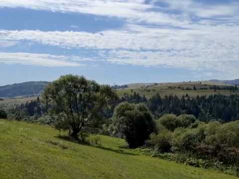 ділянка за адресою с. Ізки, 