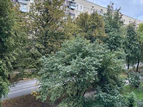 квартира за адресою Симона Петлюри вул. (), 41