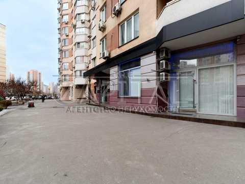 комерційна за адресою Олени Пчілки вул., 2