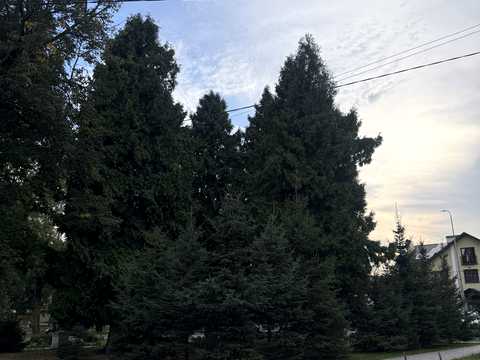 комерційна за адресою Вокзальна, 6б