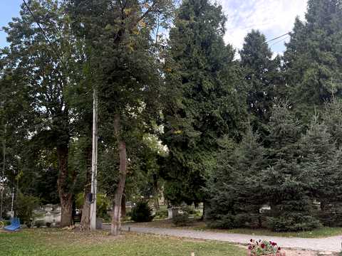 комерційна за адресою Вокзальна, 6б