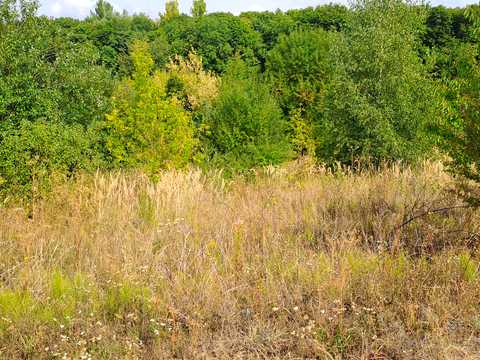 ділянка за адресою Тернопіль, Львівське шосе