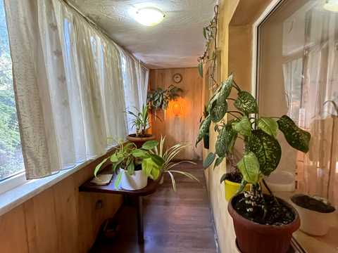 квартира за адресою Сегедська вул., 10