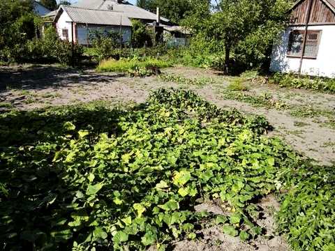 дом по адресу Івана Котляревського ул. (Волховський), 13