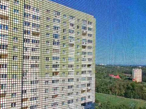 квартира по адресу Кургузова ул., 11-Б