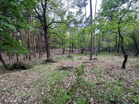 ділянка за адресою кг Сосновый бор