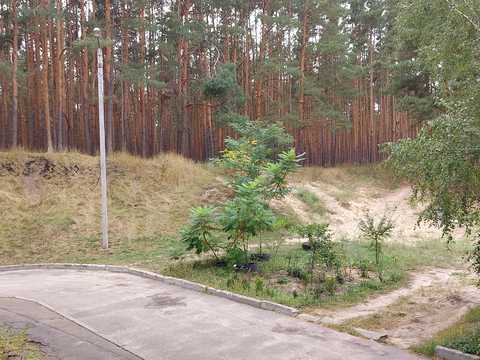 квартира за адресою Бучанське шосе, 14-В