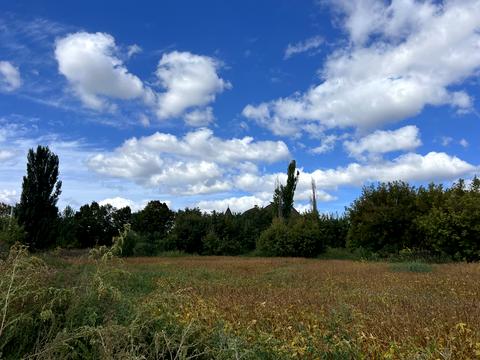 ділянка за адресою с. Пінчуки, Володимирська
