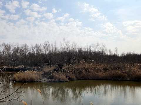 дом по адресу Кіровське