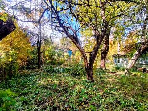 ділянка за адресою Забава вул.