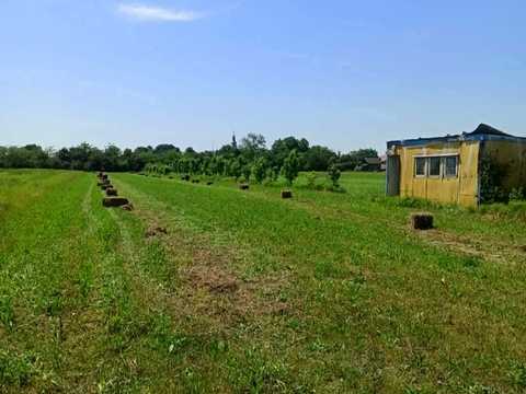 ділянка за адресою с. Коритняни, Лелекача