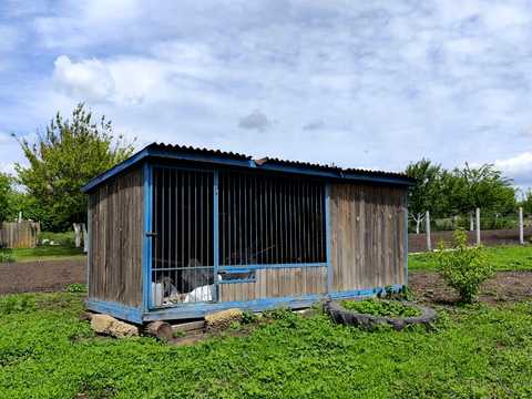 комерційна за адресою с. Чепиліївка, Жовтнева, 7а