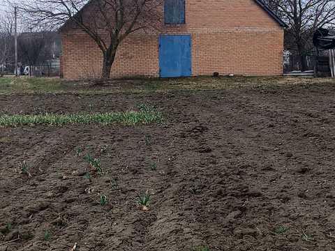комерційна за адресою с. Чепиліївка, Жовтнева, 7а