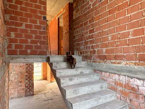 будинок за адресою 9-та Лінія вул.