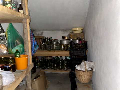 дом по адресу с. Солуков, Пасічна, 22