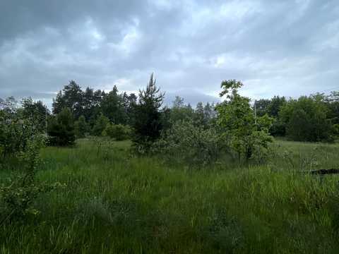 ділянка за адресою с. Давидівка, 