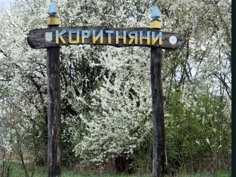 ділянка за адресою с. Коритняни, 