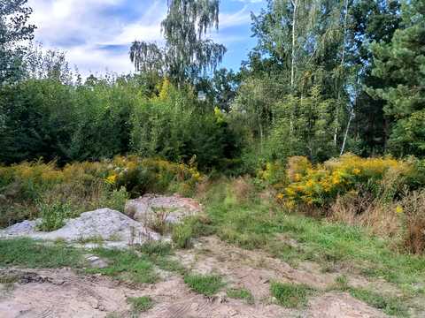 ділянка за адресою Драгоманова вул., 23