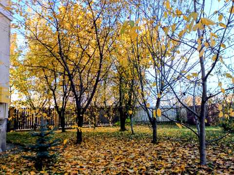 будинок за адресою Зоряна, 13