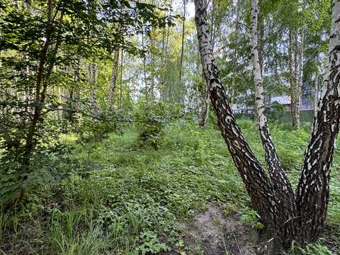 квартира за адресою Відродження вул., 3