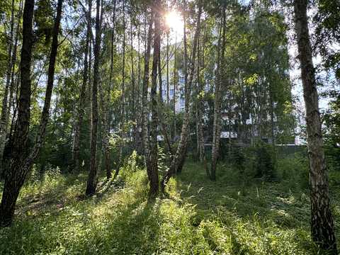 квартира за адресою Відродження вул., 3