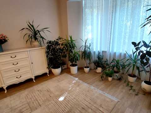 квартира по адресу Семинарская ул., 1