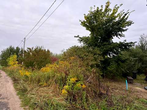 участок по адресу 