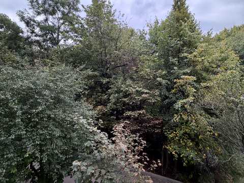 квартира за адресою Пасічна вул., 75