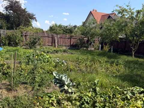 участок по адресу с. Солонка,