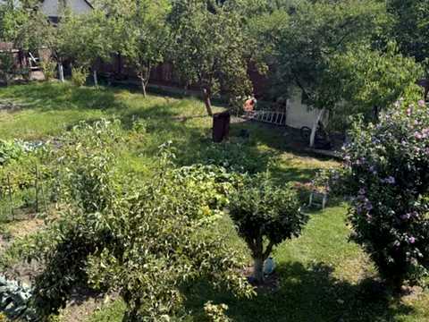 участок по адресу с. Солонка,