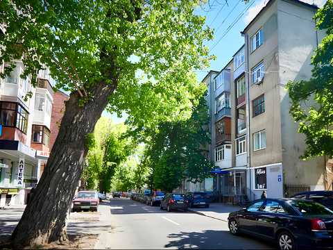 коммерческая по адресу Максимилиановская ул. (Ольминського), 6