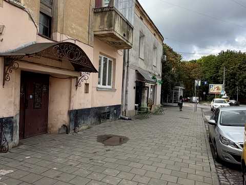 комерційна за адресою Костя Левицького вул. (), 116