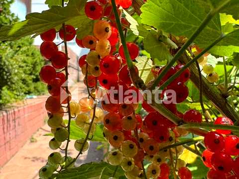 будинок за адресою Одеса, Абрикосова вул.