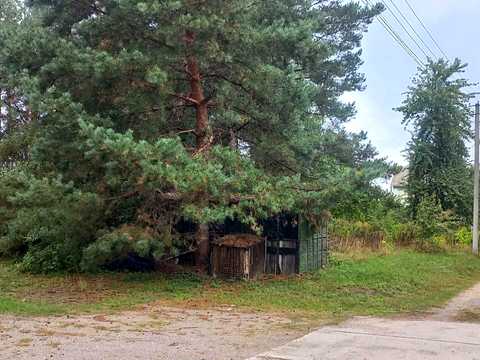 ділянка за адресою с. Миколаївка, 
