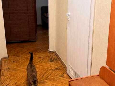 квартира за адресою Вінстона Черчилля вул. (Червоноткацька), 10