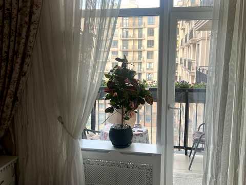 квартира за адресою Чехова вул., 2